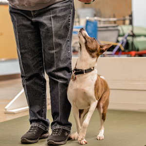 Catawba Valley Obedience Club, Hickory NC
